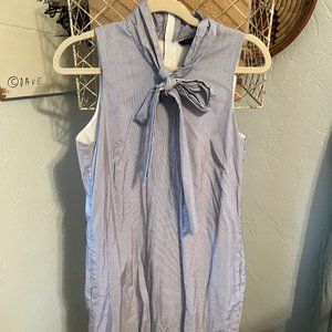 JCrew Pinstriped Dress